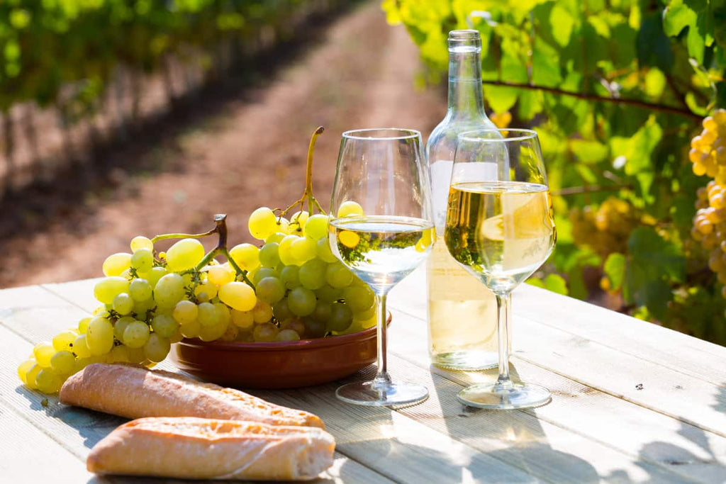 Descubre los vinos de uva Godello