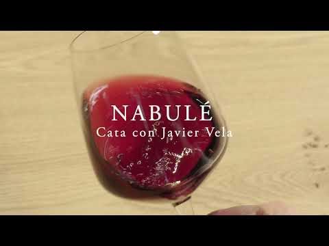Video Cata del vino tinto Nabulé, la nueva Garnacha de Bodegas Aragonesas. D.O. Campo de Borja